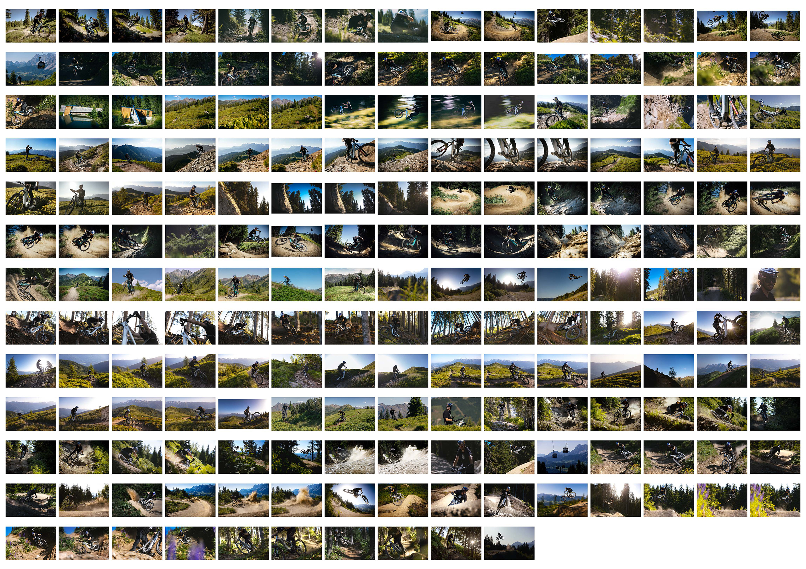 Overview of all Action Photos taken of YT Decoy Gen 2